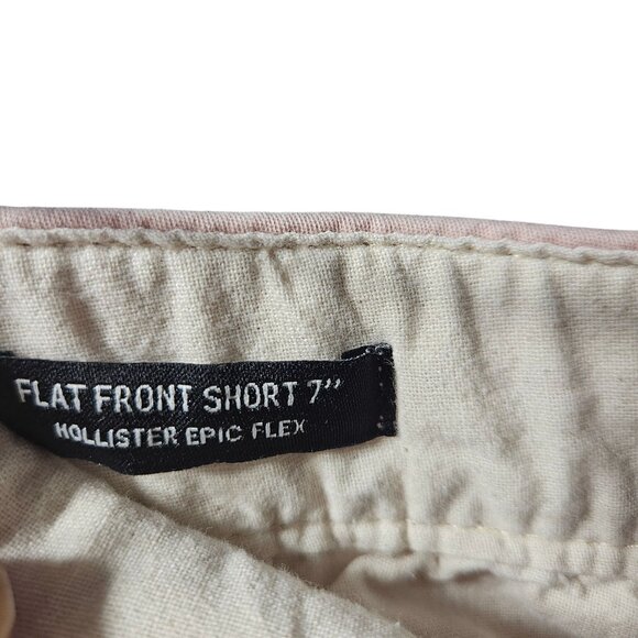 Hollister Mens Pink Flat Front Shorts W32 - Picture 5 of 7
